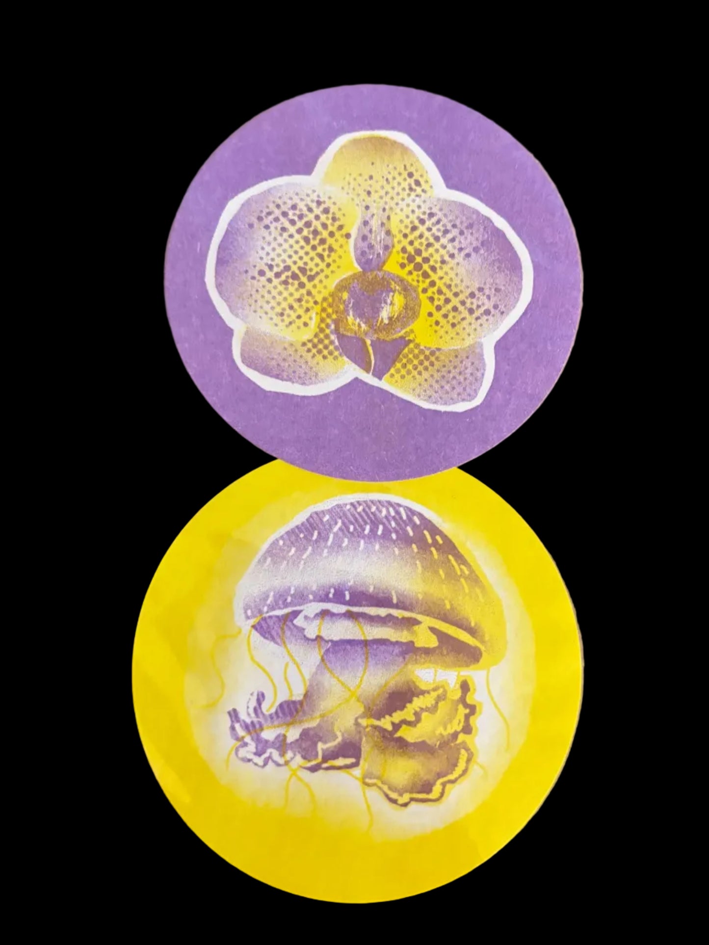 Orchid + Jellyfish Sticker 2-Pack